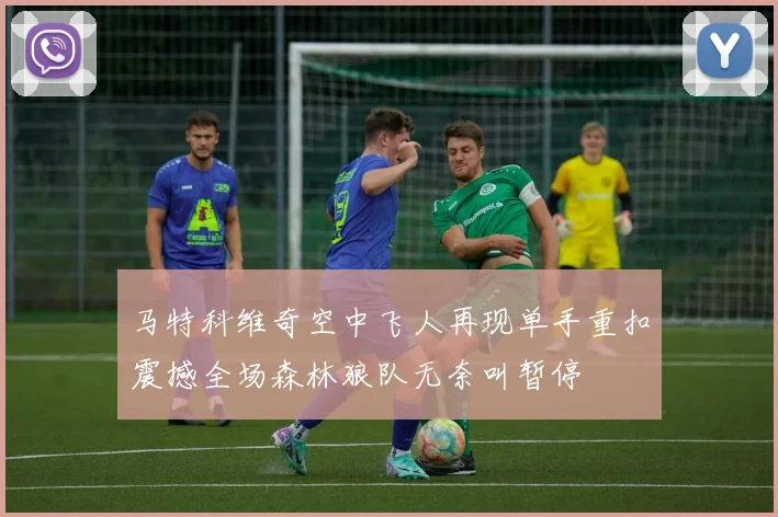 马特科维奇空中飞人再现单手重扣震撼全场森林狼队无奈叫暂停