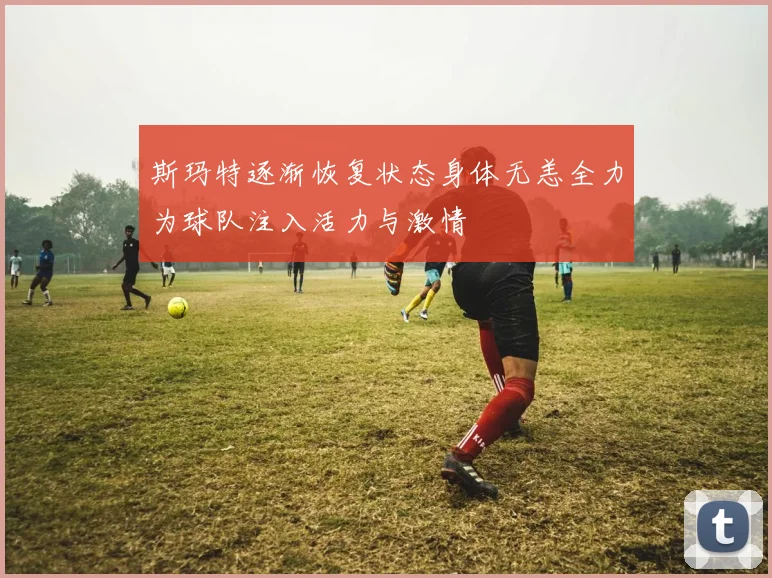 斯玛特逐渐恢复状态身体无恙全力为球队注入活力与激情