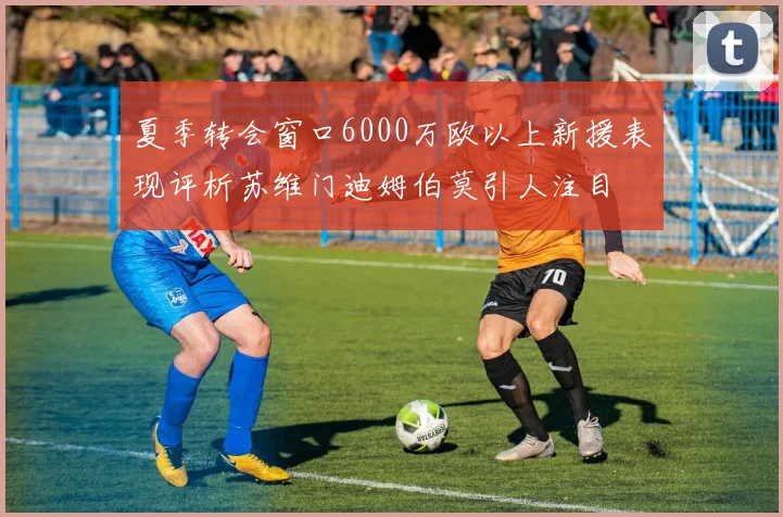 夏季转会窗口6000万欧以上新援表现评析苏维门迪姆伯莫引人注目